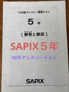 2025年最新】サピックステストの人気アイテム - メルカリ