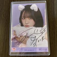 野口衣織 7周年 猫衣装 ヨリ 直筆