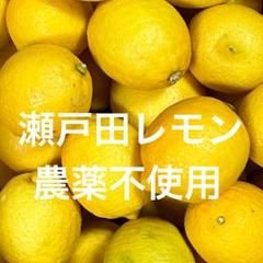 2025年最新】瀬戸田レモンの人気アイテム - メルカリ