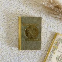 洋書 古書 チェコ語の小さなヴィンテージ植物図鑑 ハーブ図鑑