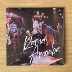 2025年最新】Rama amoebaの人気アイテム - メルカリ