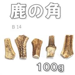 クラフト　鹿の角14本セット クラフト様専用 鹿の角14本セット
