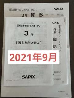 SAPIX 教材 セット ㉑u サピックス SAPIX 4年 テキスト フルセット❣️ 早者が勝ち
