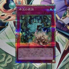 遊戯王　命王の螺旋　プリシク2枚　ドミナススパイラル 遊戯王 命王の螺旋 ドミナススパイラル シークレット 1枚 - メルカリ