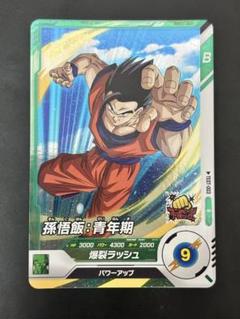 ドラゴンボール ロケテ 孫悟飯 2025年最新】ロケテ 悟飯の人気アイテム - メルカリ