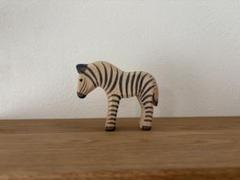 オストハイマー　シマウマの子