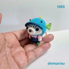 1093 シマリスお魚帽子