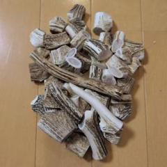 Ｙ３【箱びっしり端材詰め合わせ】北海道　エゾシカ　ハンドメード　鹿角　鹿の角