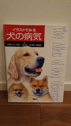 イラストでみる犬の病気の中古 未使用品 メルカリ イラストでみる犬の病気の中古 未使用品 メルカリ