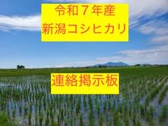 連絡掲示板【赤米入り】新潟産コシヒカリ30kg 連絡掲示板【赤米入り】新潟産コシヒカリ30kg - メルカリ