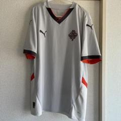 Puma サッカー　国代表ユニフォーム グレー L(USサイズ)