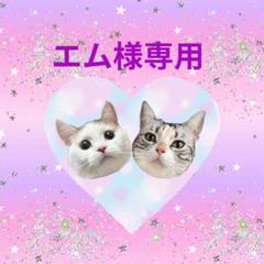 mofusand モフサンドカーテン サメにゃん