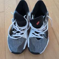 NIKE FREAK バスケットシューズ グレー