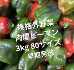 沖縄県産　規格外野菜　ピーマン80サイズのサムネイル
