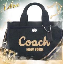 洋服通販 - 新作アイテムを ☆新品未使用☆COACH リサイクルレザートート ブラック CP164 バッグ