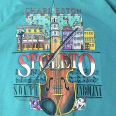 80s 90s ヴィンテージTシャツ シングルステッチ 古着 USA製 XL L