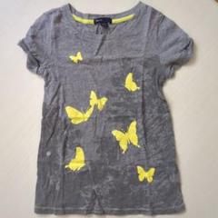 蝶プリント グレー Tシャツ