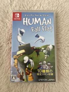 ヒューマンフォールフラット　switch