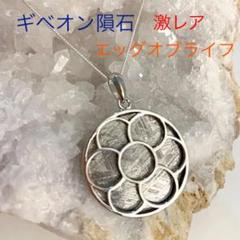 ナミビア産】激レア✴︎隕石ギベオン×生命の果実シルバー925