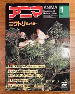 アニマ 1月号 自然史雑誌