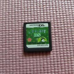 お茶犬の部屋 DS