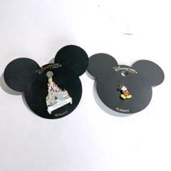 激レア】ディズニーランドパリ超限定ピンバッチ