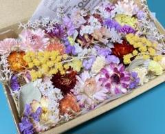 ドライフラワー 花材 詰め合わせのサムネイル
