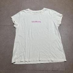 L.L.bean 半袖tシャツ　白　ホワイト　レディース　M