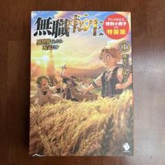 （特装版含む合計29冊）無職転生　小説　全巻+アニメイト限定4Pリーフレット 2025年最新】無職転生 特装版の人気アイテム - メルカリ