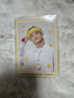 BUDDiiS MORRIE トレカ 3枚セット サイン入り BUDDiiS MORRIE トレカ 3枚セット サイン入り