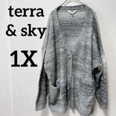 ✨️海外古着✨terra & sky 【1X】グラデーションカーディガン ニット
