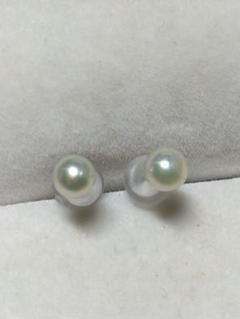 あこやベビーパールピアス シルバー925