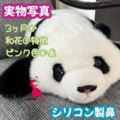 2025年最新】和花 パンダの人気アイテム - メルカリ