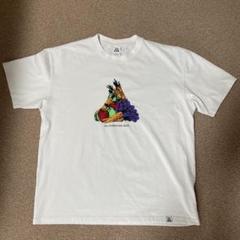 NIKE ACG Tシャツ　XLのサムネイル