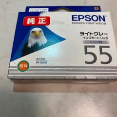 EPSON ICLGY55