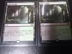 MTG 対抗色フェッチランド　日本語、5枚セット 対抗色フェッチランド5種がセットになったSecret Lair