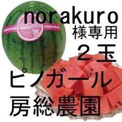 2025年最新】ピノガール スイカの人気アイテム - メルカリ