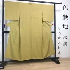IS745 色無地 上質生地 地模様 膨れ 正絹 広襟 袷 IS745 色無地 上質生地 地模様 膨れ 正絹 広襟 袷 - メルカリ