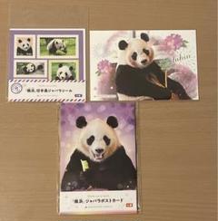 アドベンチャーワールド　良浜　結浜　彩浜　楓浜　　クールタオル　4個セット アドベンチャーワールド 良浜 結浜 彩浜 楓浜 クールタオル 4個