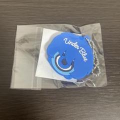 Eve UnderBlue くじ iconぬいぐるみ Eve アイコンぬいぐるみ Under Blue くじ - メルカリ