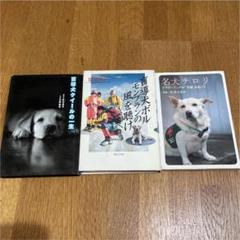 盲導犬 本 3冊セット キッズ 読書 夏休み