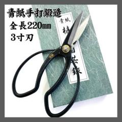 m53431019235_1.jpg?1710375775