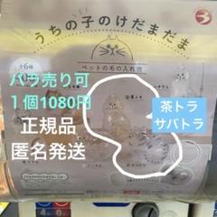 うちの子のけだまだま　茶トラ　サバトラ
