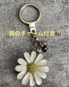 m53450674250_1.jpg?1725803767