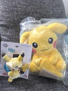 一番くじA賞ひなたぼっこピカチュウ 抱きつきマスコットピカチュウ セット