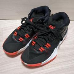 ナイキNIKE Jordan Zion 1 PF 26cm ジョーダン ザイオン