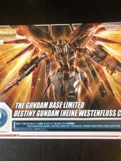 MG 1/100 ガンダムベース限定 デスティニーガンダム (ハイネ専用