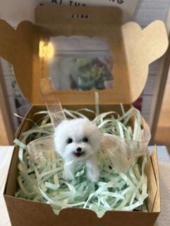 犬 ビション・フリーゼ チャーム ストラップ ミニ レジン