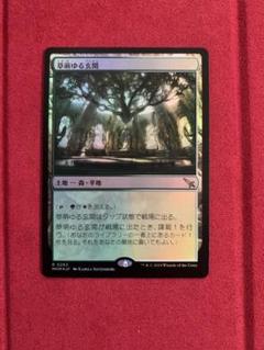 mtg 諜報ランド　16枚セット　日本語 MTG】諜報ランド【各1枚セット】