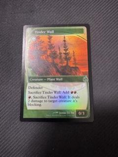 MTG Tinder Wall ほくちの壁未来枠foil